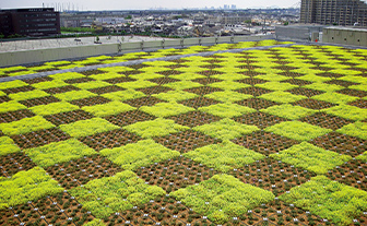 Rooftop greenery systems