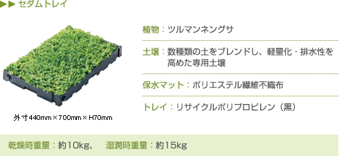 Yodoko ヨドルーフファイングリーン セダム緑化工法